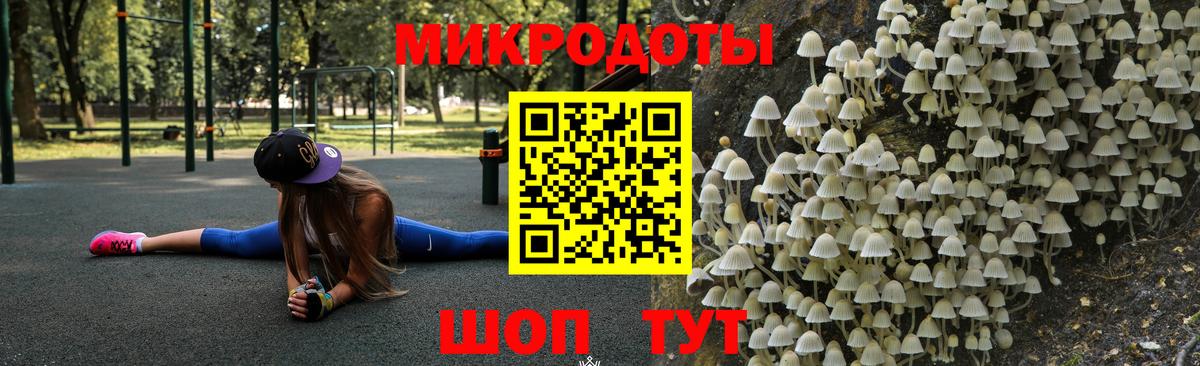 Псилоцибиновые грибы Psilocybe Хасавюрт