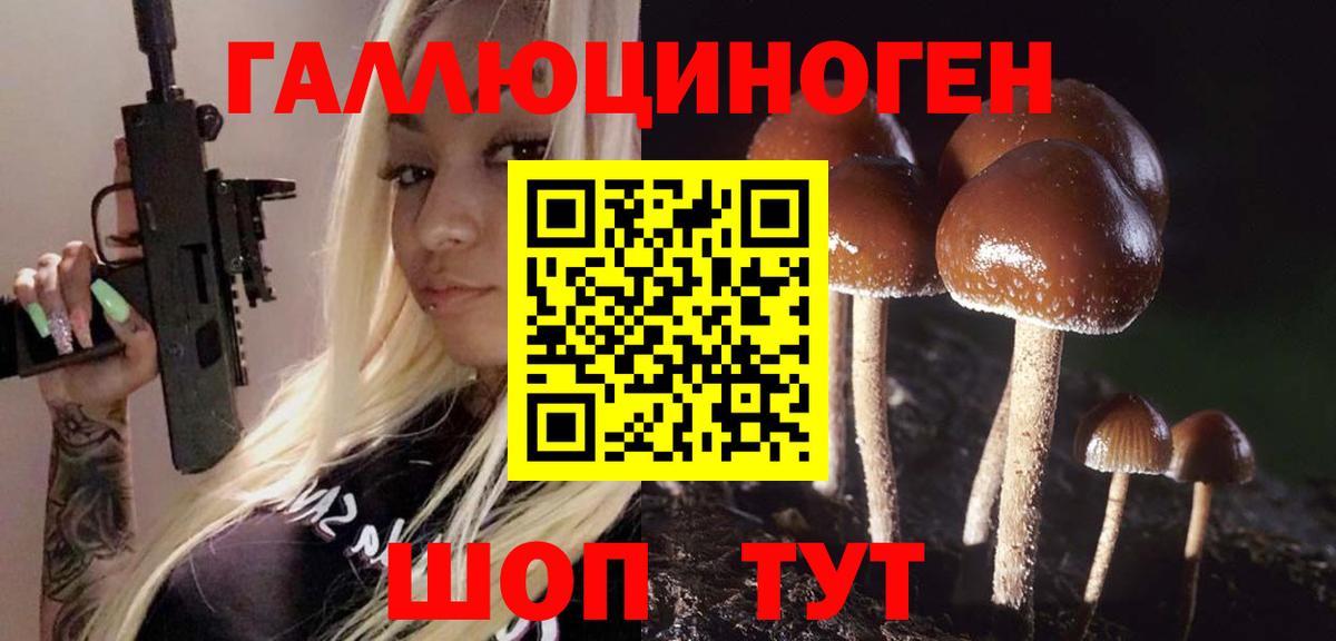 Хасавюрт  Псилоцибиновые грибы прущие грибы  Вход с VPN 